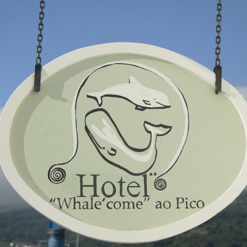 ”Whale’come” ao Pico